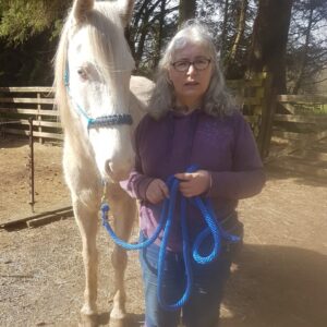 Reiki Healing & Courses for Humans, Small Animals & Horses