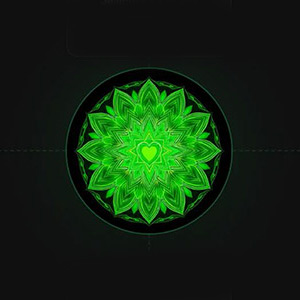 sq-web